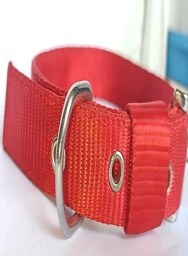 Pups&Pets Dog Belt Combo of 1 inch Nylon Collar with Heavy Dog Chain 63 Inch Lengthy Dog Collar Chain (Red) - Image 5